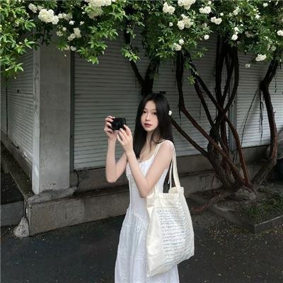 菩提树焦点图